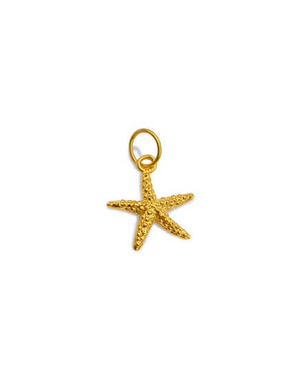 PANDANTIV ARGINT STARFISH